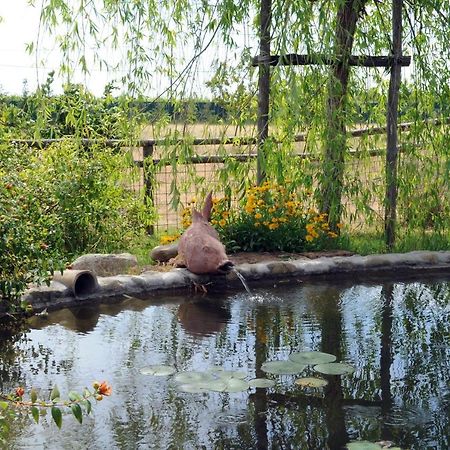 蒙特斯佩尔托利Azienda Agrituristica Bellavista别墅 外观 照片