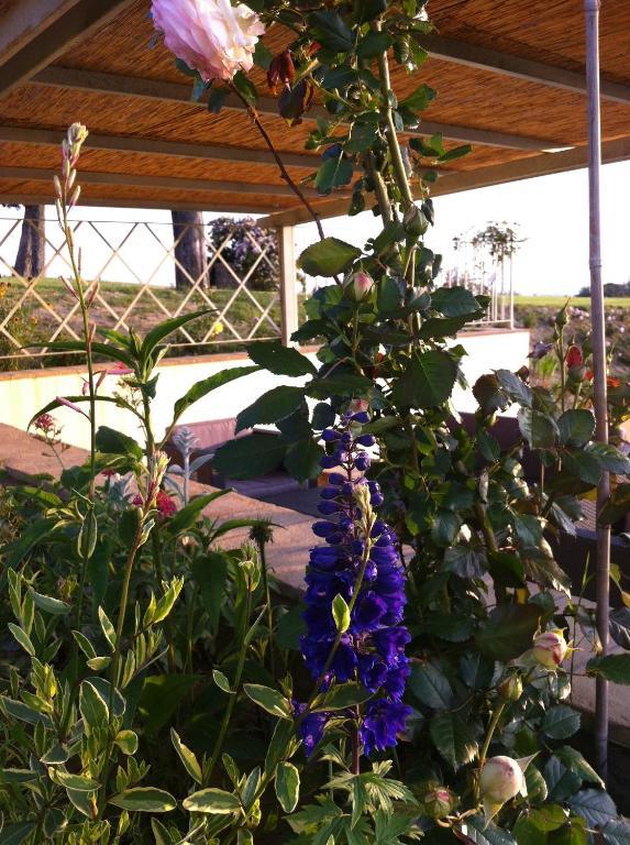 蒙特斯佩尔托利Azienda Agrituristica Bellavista别墅 外观 照片