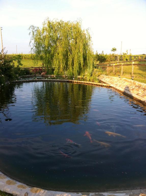 蒙特斯佩尔托利Azienda Agrituristica Bellavista别墅 外观 照片