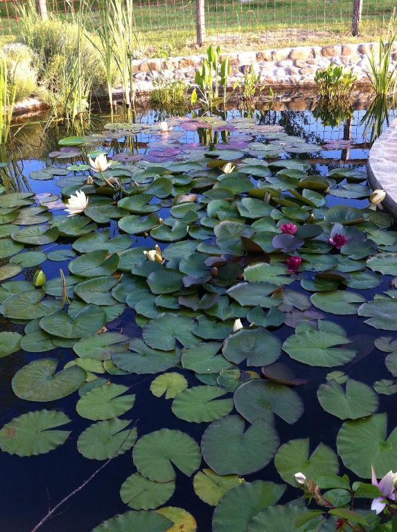 蒙特斯佩尔托利Azienda Agrituristica Bellavista别墅 外观 照片