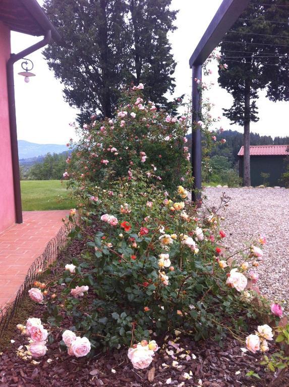 蒙特斯佩尔托利Azienda Agrituristica Bellavista别墅 外观 照片