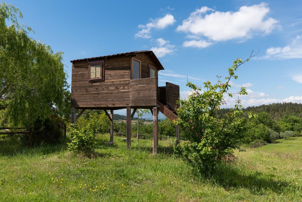 蒙特斯佩尔托利Azienda Agrituristica Bellavista别墅 外观 照片