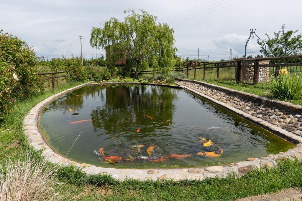 蒙特斯佩尔托利Azienda Agrituristica Bellavista别墅 外观 照片